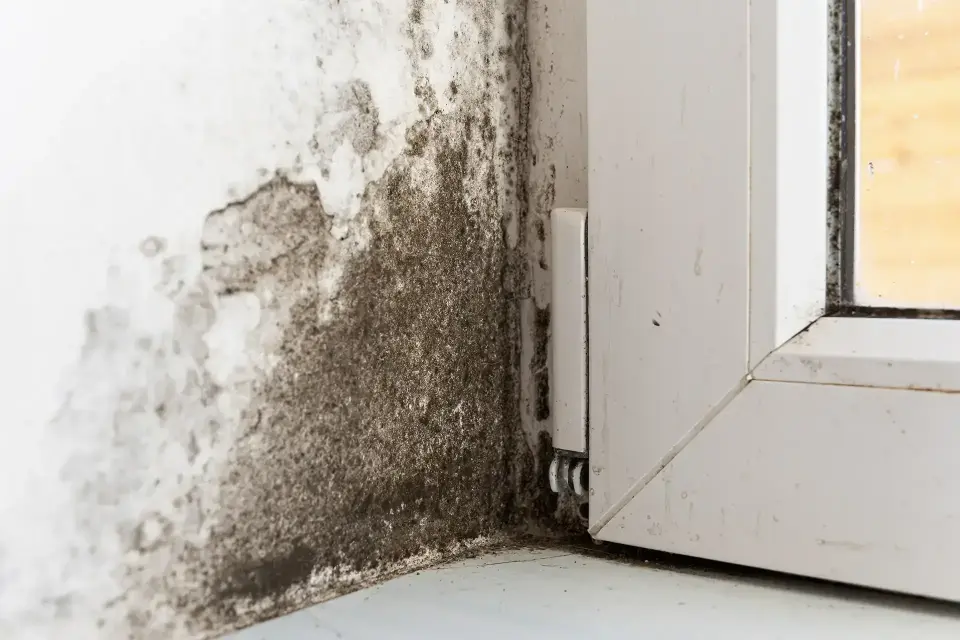 Water Damage in East Los Angeles, CA